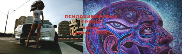 винт Арсеньев