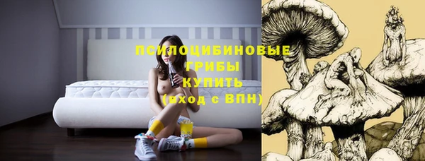 винт Арсеньев