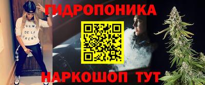 2c-b Камышлов