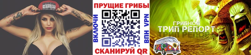 Галлюциногенные грибы Psilocybine cubensis  Сургут 