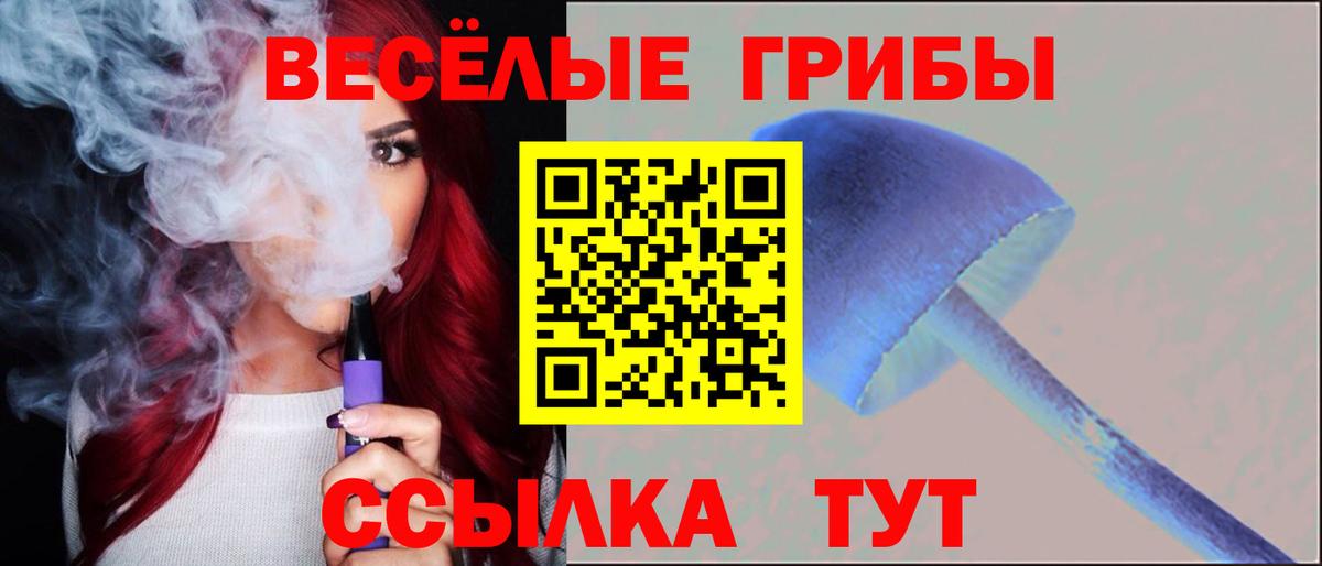 Галлюциногенные грибы Cubensis Сургут